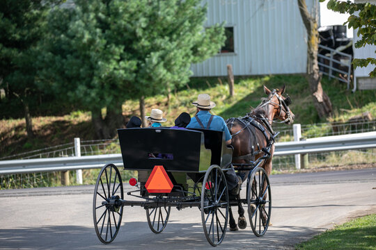 Amish man with his three children in a horse and buggy at an intersection | Holmes County, Ohio, near the Ashery Country Store