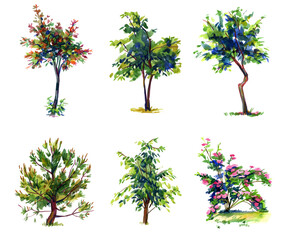 Trees. Set. Drawing with watercolor. Isolated on white background