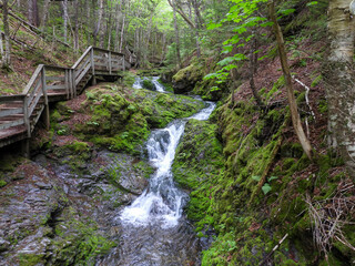 Dickson Falls in Fundy National Park