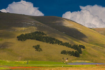 Summer view of Pian Grande during che famous flowering of Castelluccio di Norcia