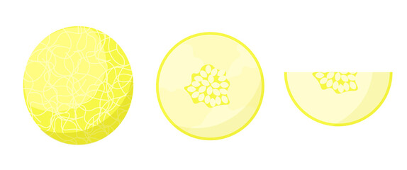Yellow melon on whine background. Isolated illustration of fruits. Health and delicious food.