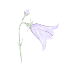 Графика и иллюстрации