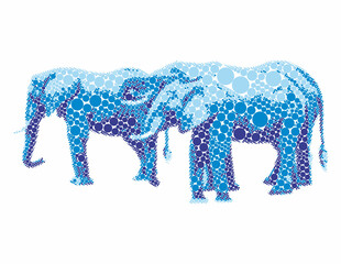 elefantes © fergomez