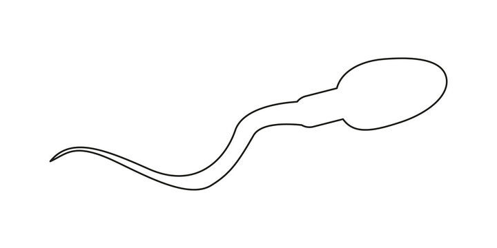 Spermatozoa icon. Human sperm cell in outline style. Male fertility, semen test, spermatozoon analysis concept. Vector graphic illustration.