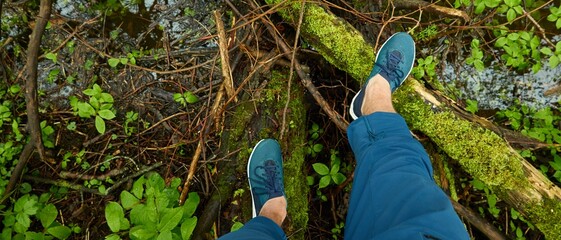 Man standing on tree log in a forest park. Blue jeans and trekking boots. Green plants, moss, fern. Spring, early summer. Nature, tourism, hiking, nordic walking, healthy lifestyle - 515274652