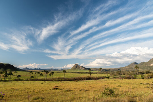 Beautiful view to typical cerrado landscsape with mountains
