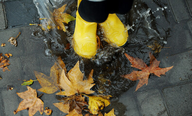 Yellow rubber shoes in puddle after raining. Falling leaves. Autumn season concept. 