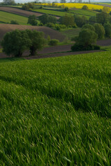 Obraz na płótnie Canvas krajobraz rolniczy