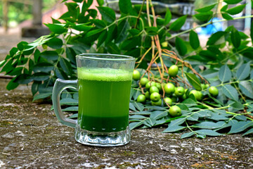 Neem medicinal herb juice in glass cup. Neem leaves, fruits on abstract background. Ayurvedic raw material. Neem liquid ayurveda medicine.