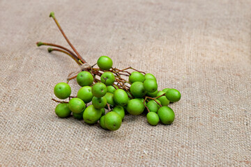 Neem tree's seeds on jute fabric background. Neem plant's fruits. Ayurvedic medicinal herbs. Neem fruit use for ayurveda treatment. 
