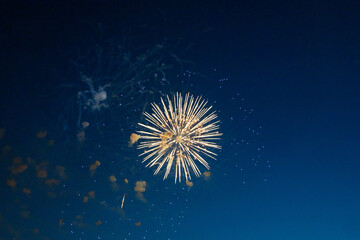 Firework over the blue sky at night, white, orange. Amateur photo. Noise. Grain.