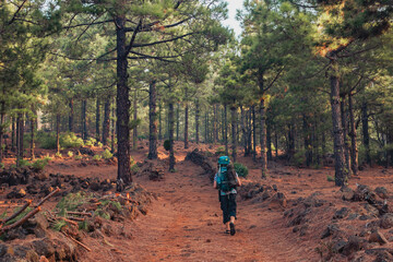Fototapeta premium A person walking in the woods