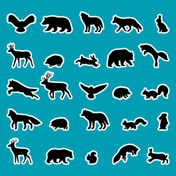 Forest animals. Silhouettes, stickers. Black outline of wild woodland animals. Bear, deer, wolf, fox, owl, hedgehog, squirrel, hare