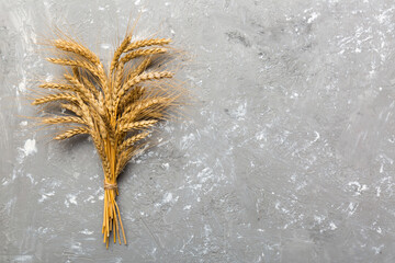 Sheaf of wheat ears close up and seeds on colored background. Natural cereal plant, harvest time...
