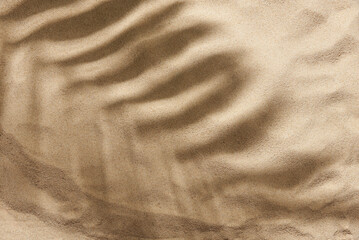 Tropical design on the concept of summer, beach and vacations: the shadow of a palm leaf is cast on a smooth sand background. Creative minimal layout, top view composition with copy space.
