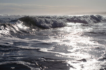 oceano brillante