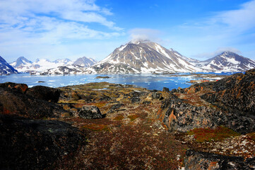 Tundra Landscape, near Kulusuk, eastern Greenland - obrazy, fototapety, plakaty