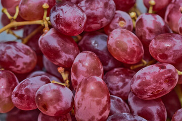 シードレスグレープ