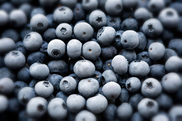 Frozen Blueberries
