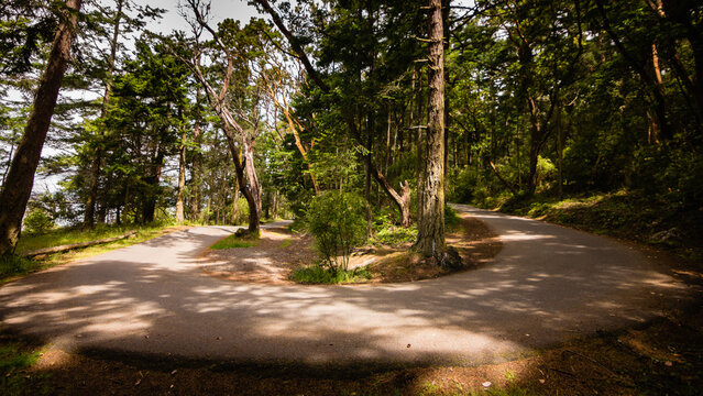 Hairpin Turn In The Shade