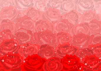 Beautiful modern wallpaper with red and pink roses
