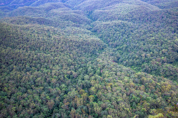 ブルー・マウンテンズ国立公園