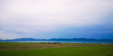 landscape with clouds