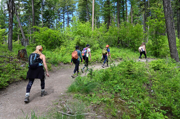 Youing female hikers on Lion Mountain Trail near Whitefish, Montana on sunny summer morning. - obrazy, fototapety, plakaty