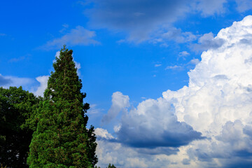 夏の青空と雲　7月