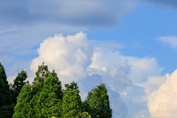 夏の青空と雲　7月