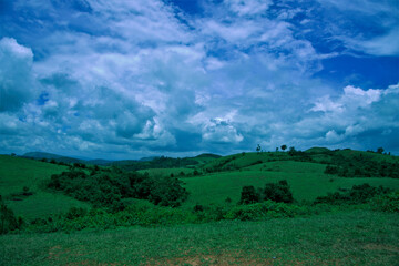 Obraz premium Beautiful blue sky and grass field in wagamon 