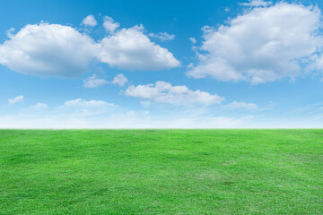 Landscape view of green grass with bright blue sky and clouds background.