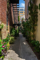 Fototapeta na wymiar Cityscape of the historic French Quarter residential district in Charleston, South Carolina