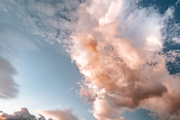 Thick cumulus clouds with pink tint at sunset. Background natural color of evening cloudscape panorama.
