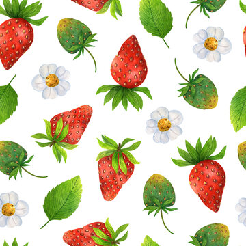 Fresh strawberry seamless watercolor pattern. Red sweet berry, unripe green fruit, leaves, blooming flowers. Whole wild strawberries. Hand drawn tasty garden dessert. Natural healthy food