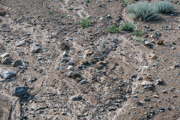 Gray old boulders on hillside. Danger of stone mudslide in highlands.
