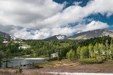 View of mountain valley with snowy ridge on horizon. Forest and glacier on slope, in blue sky cumulus clouds. Concept of untouched nature, hiking trip to highlands.