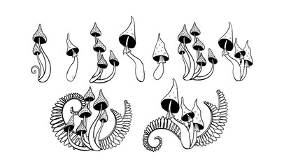 Hand drawn set of poisonous mushrooms, toadstools. Mystical boho witch tattoo with fern leaves, dark magic and witchcraft design. Vector sketch isolated on white background. © Salomi art
