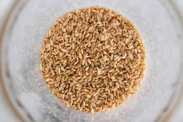pantry jar with brown rice shot from top down perspective as close-up, simple staple ingredients
