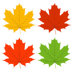 maple leaf in four different colours