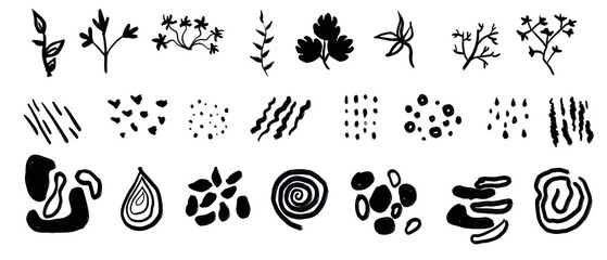 Organic vector set of plants, spots, shapes