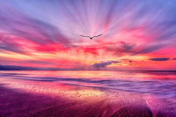 Sunset Bird Beautiful Ethereal Surreal Inspirational Silhouette