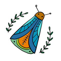 Ornate colorful butterfly, isolated on white. Cartoon for your design