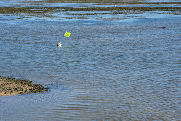 A green flag with a short concrete pole fluttering in shallow water.
