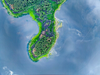 Aerial view of lake or river green shore with forest. Summer season.