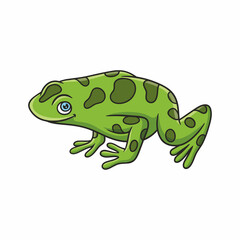 cartoon illustration the frog is on a leaf of a leafy tree and high in the middle of the forest and looks up to catch its prey