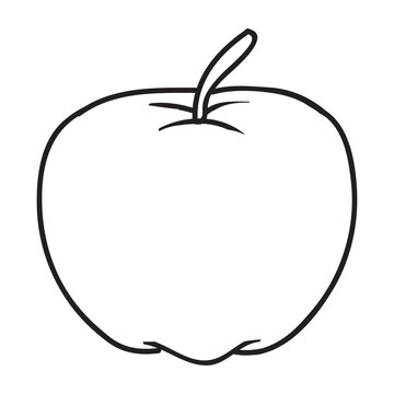 apple line vector illustration