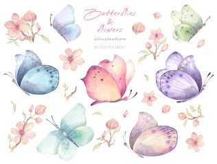 Watercolor hand drawn floral set with illustration of colorful exotic butterflies, flowers, blossom branches. Pink, blue, yellow, green elements isolated on white background. Spring collection