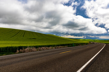 lush green  rolling hills of farm land of wheat and rapeseed during summer .  abstract like...
