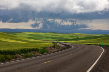lush green  rolling hills of farm land of wheat and rapeseed during summer .  abstract like landscape of different hues of green and other colors  in East Washington.